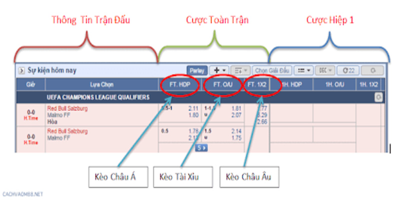 Các loại kèo cược là yếu tố quan trọng nhất trong cá cược