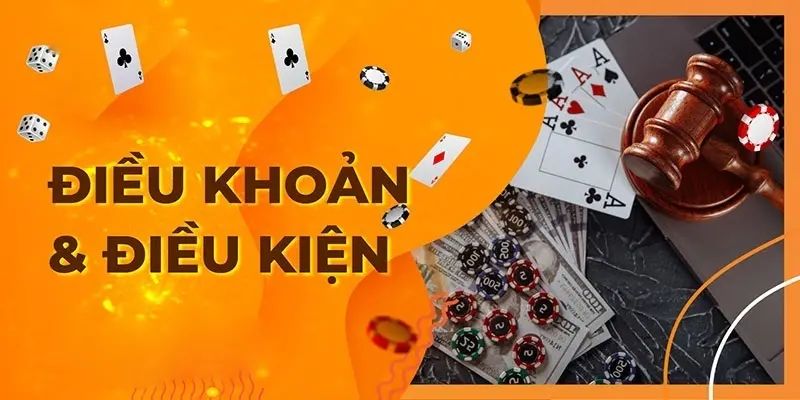 Điểm qua nội dung nổi bật khi áp dụng chính sách điều khoản